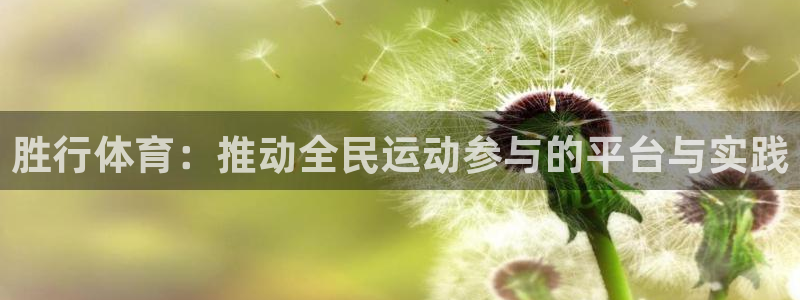 胜行体育：推动全民运动参与的平台与实践