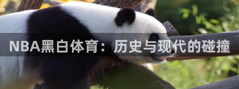 NBA黑白体育：历史与现代的碰撞