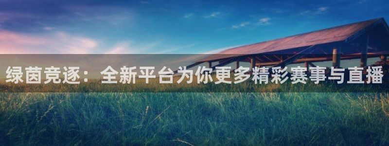 绿茵竞逐：全新平台为你更多精彩赛事与直播