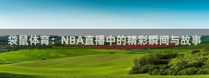 劲爆体育nba转播安排：袋鼠体育：NBA直播中的精彩瞬间与故事
