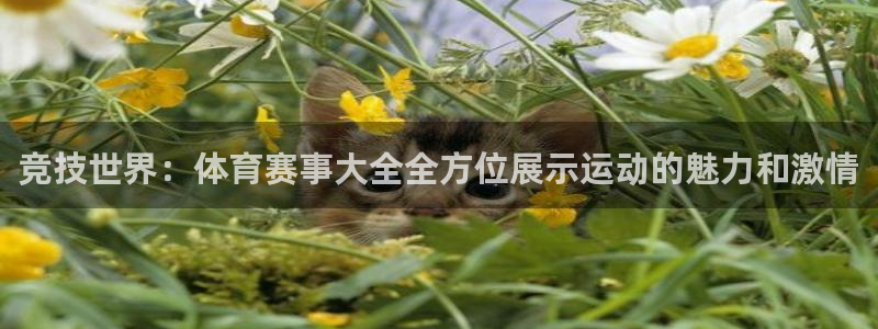 劲爆体育频道一周节目表：竞技世界：体育赛事大全全方位展示运动的魅力和激情