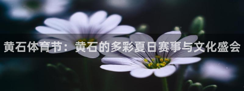 劲爆体育在线直播高清：黄石体育节：黄石的多彩夏日赛事与文化盛会
